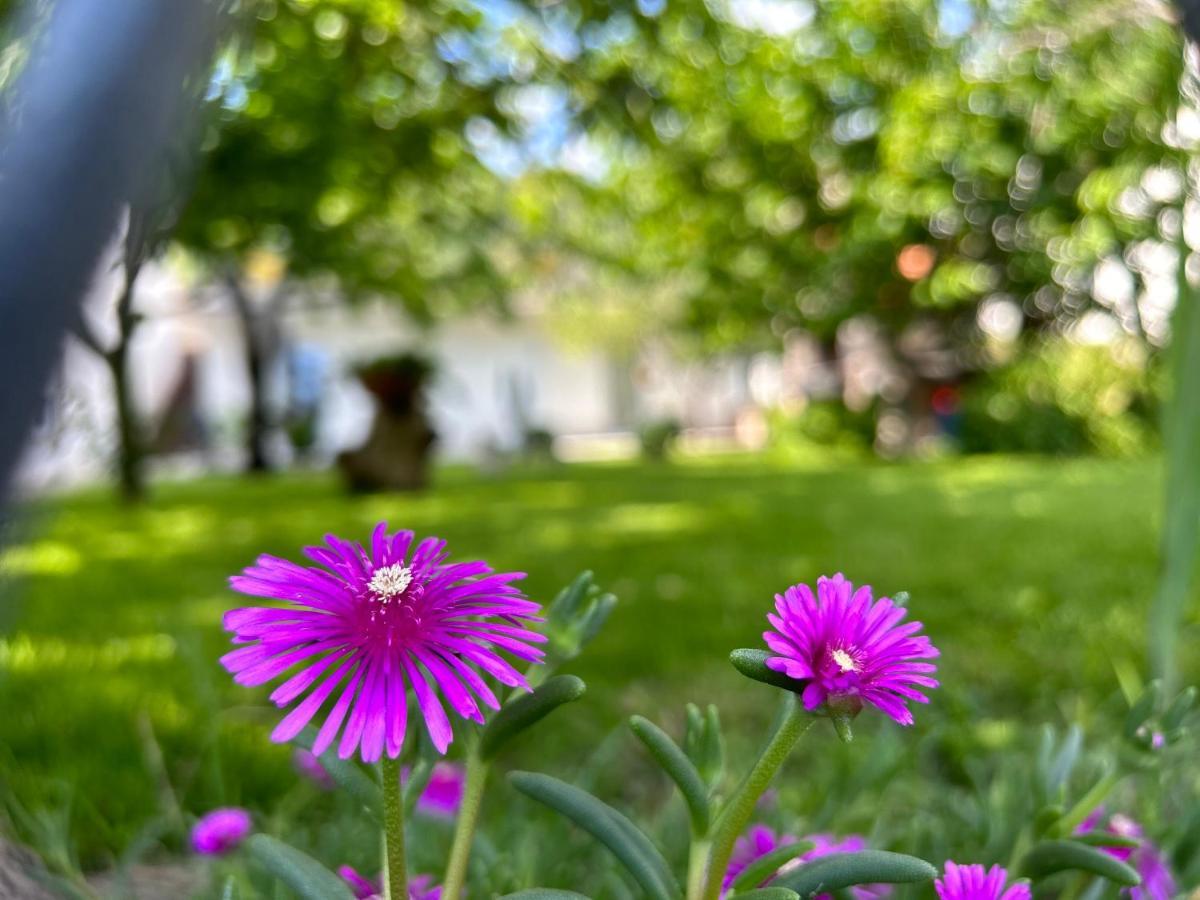 Apartment River Klis Екстериор снимка
